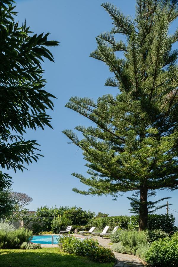 Villa Gli Ulivi Anacapri  Bagian luar foto