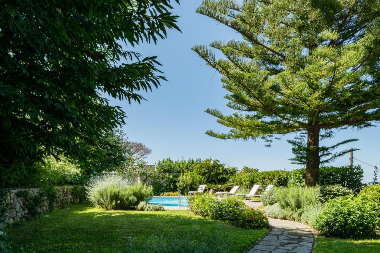 Villa Gli Ulivi Anacapri  Bagian luar foto